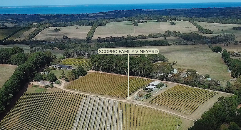 Scorpo Wines Aerial View